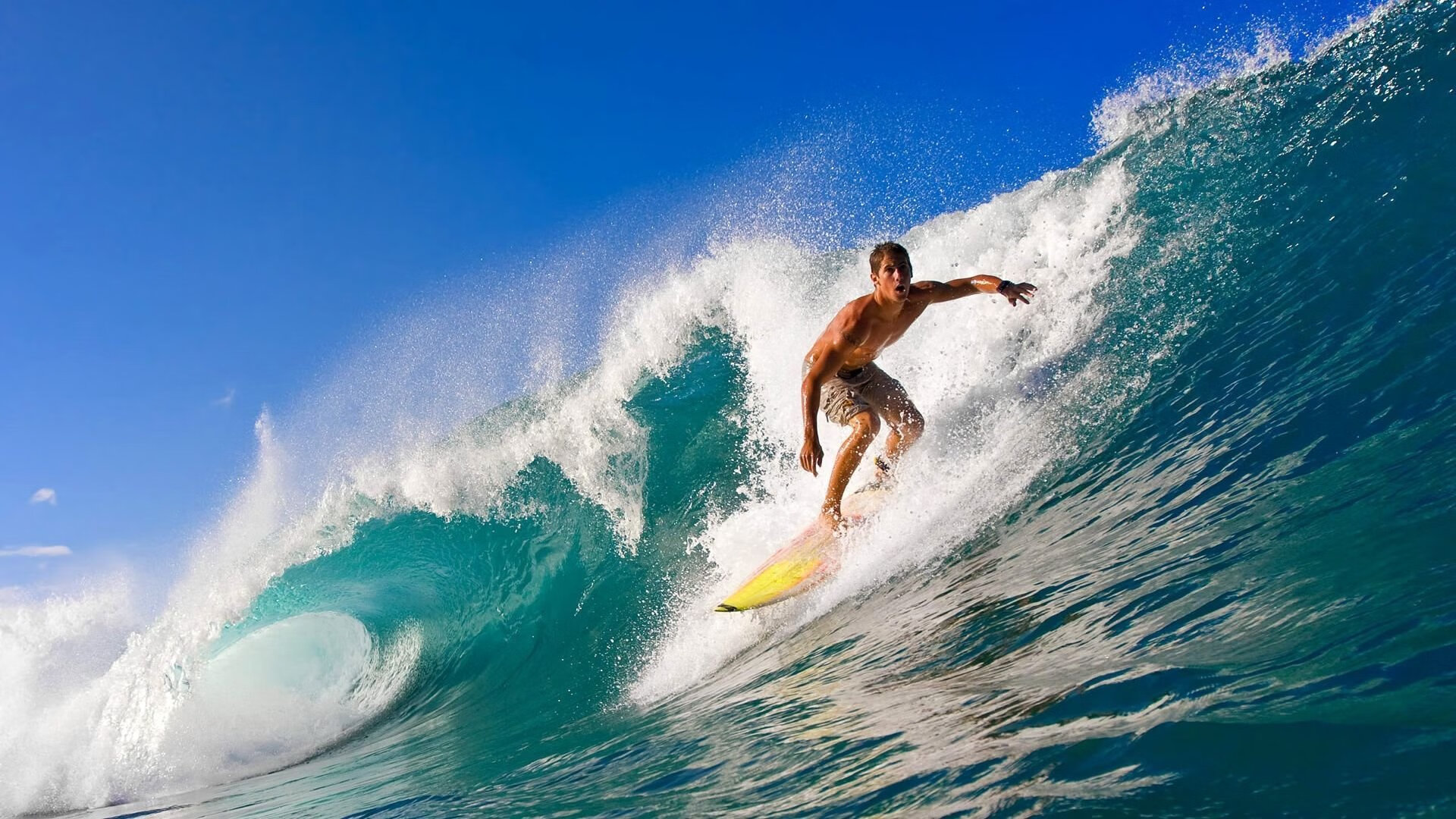 暗夜猎手，贝恩关键回合不手软，铸就灰熊新图腾